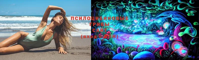 Псилоцибиновые грибы MAGIC MUSHROOMS  цена   Тольятти 